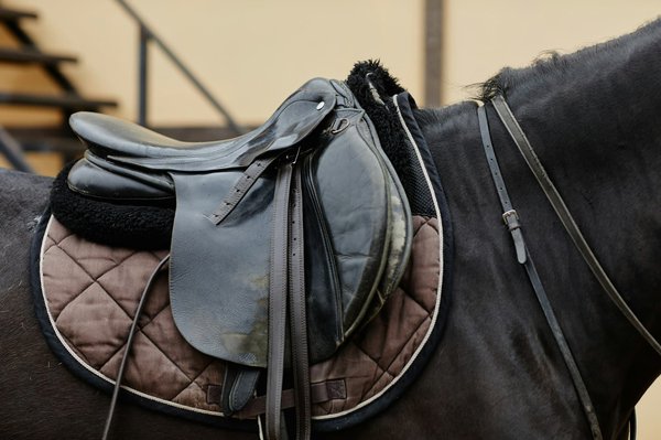 Choisir sa selle cheval et étriers adaptés